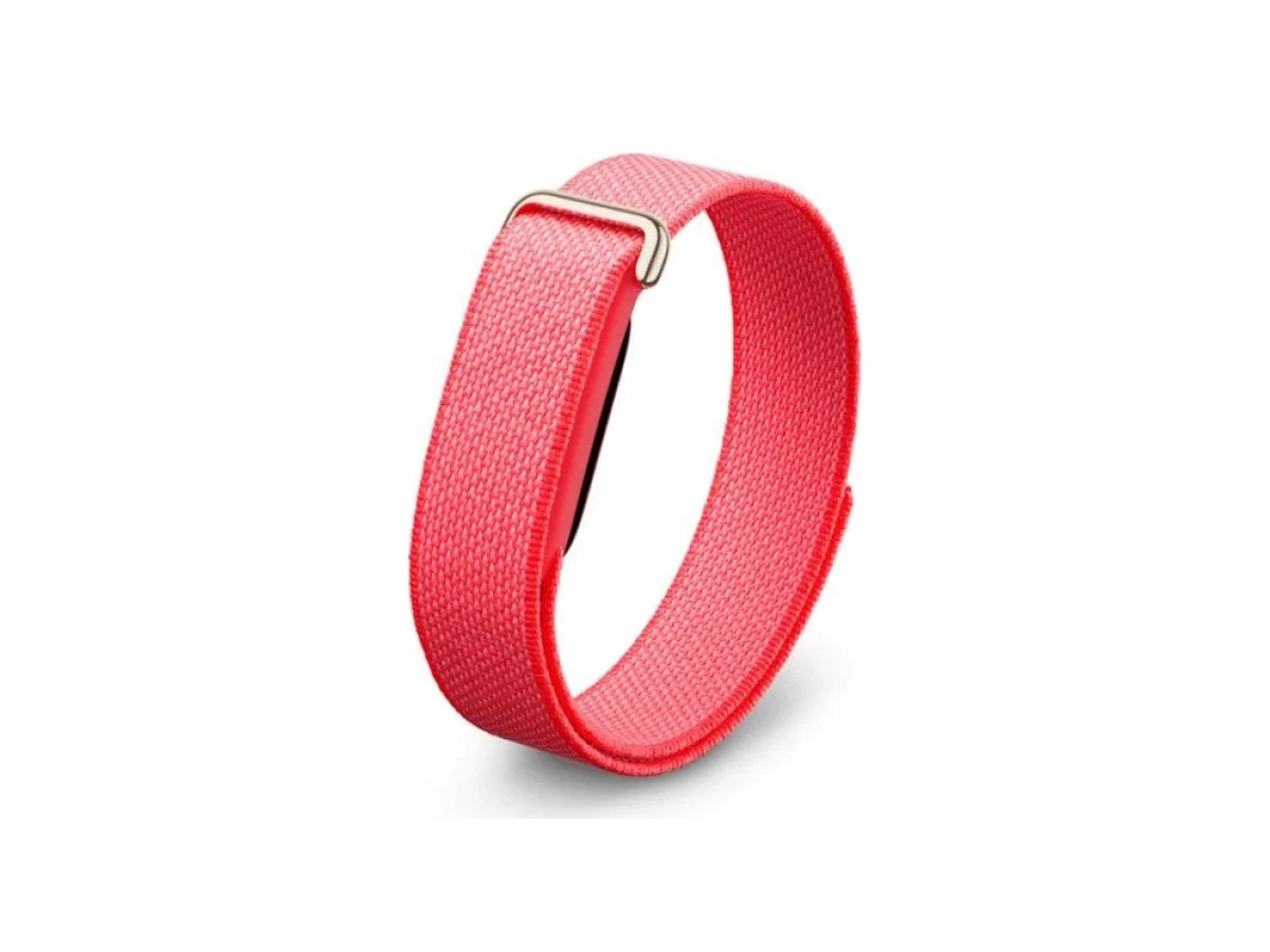 Google Fitbit Air