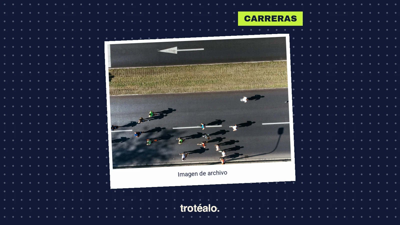 Carreras en Alicante en noviembre de 2026