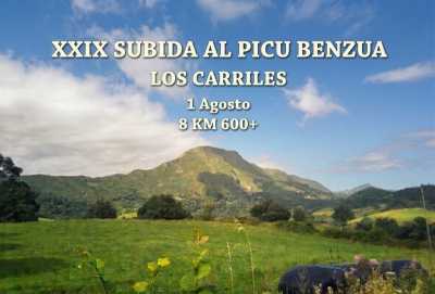 Cartel de XXIX Subida al Picu Benzúa